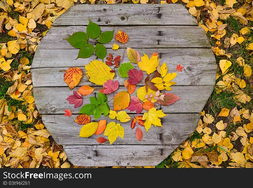 Autumn leaves on wooden cover