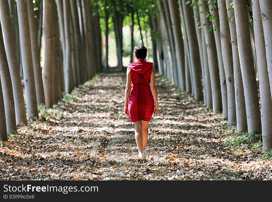 Women dressed in red walking in the forest