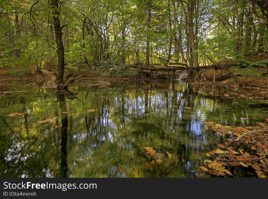 Small Lake in forest in autumn