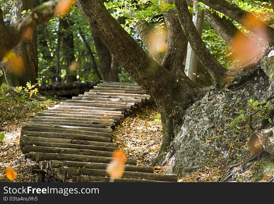 Steps and falling leaves in forest in autumn. Steps and falling leaves in forest in autumn