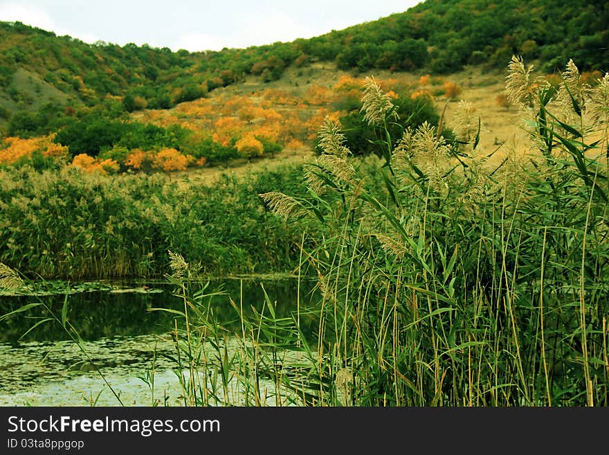 Covered grass surrounds a high mountain lake