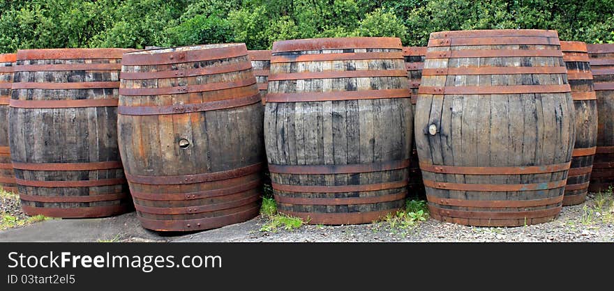 A Collection of Old Wooden Whisky Oak Barrels.