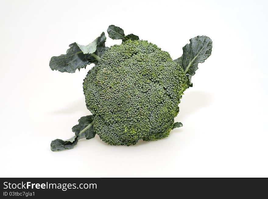 Broccoli On White Background