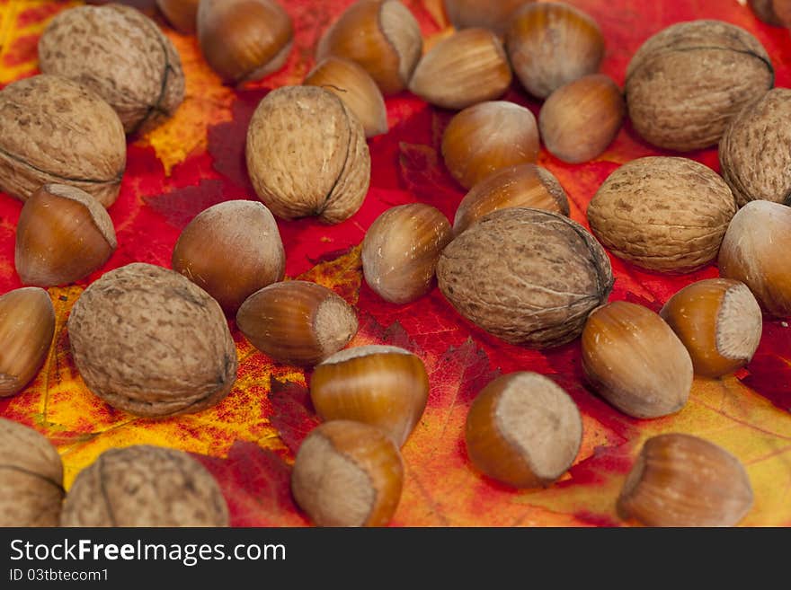 Walnuts And Hazelnuts