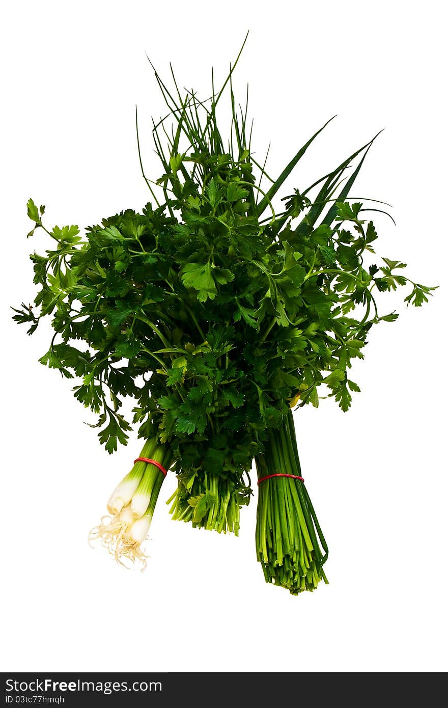 Chive, bulb onion and parsley bundles isolated over white background. Chive, bulb onion and parsley bundles isolated over white background.