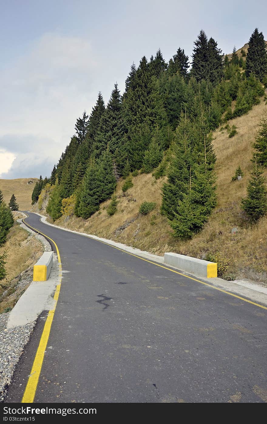 Yellow line curved road through pine forest. Yellow line curved road through pine forest