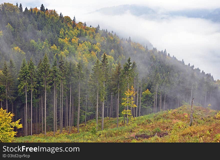 Fog Over Valley