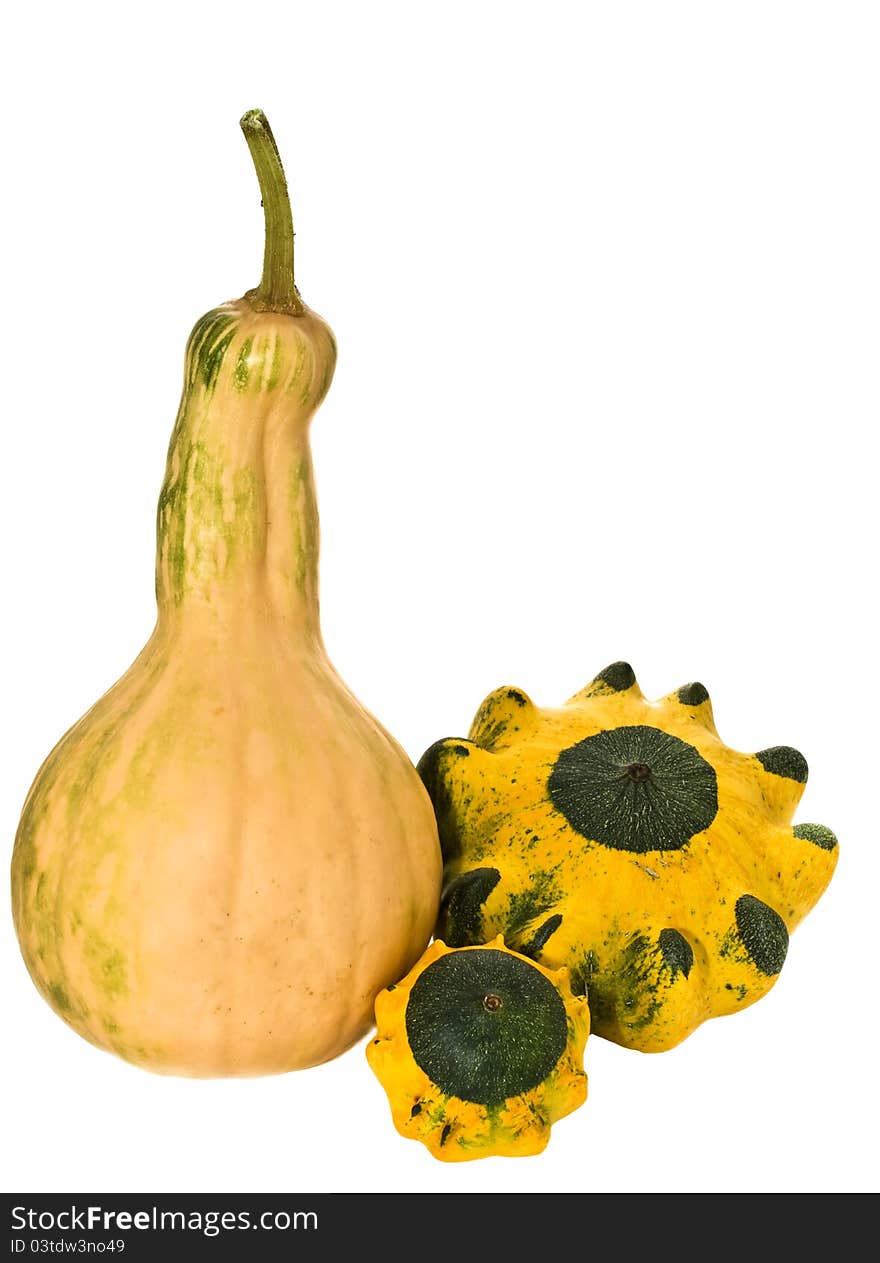 Pumpkin on a white background.