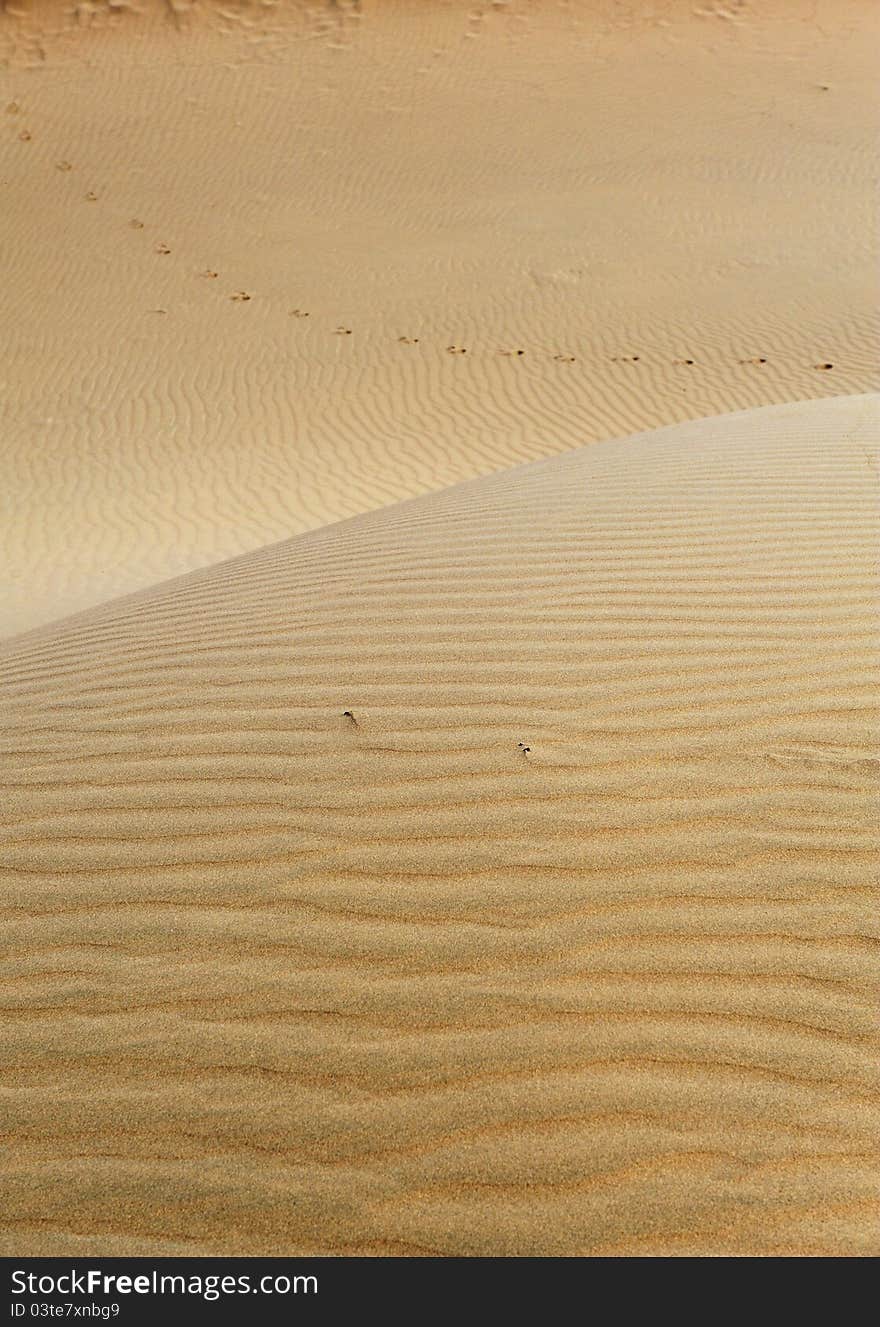 The footprint in the desert. The footprint in the desert