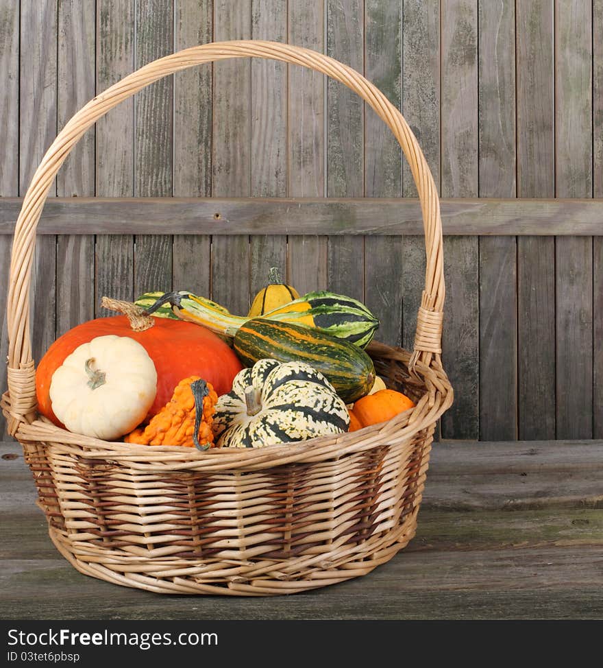 Basket of Squash