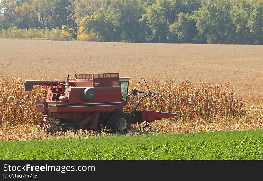 Combing Corn