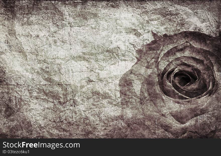 Textured rose on old paper grunge background