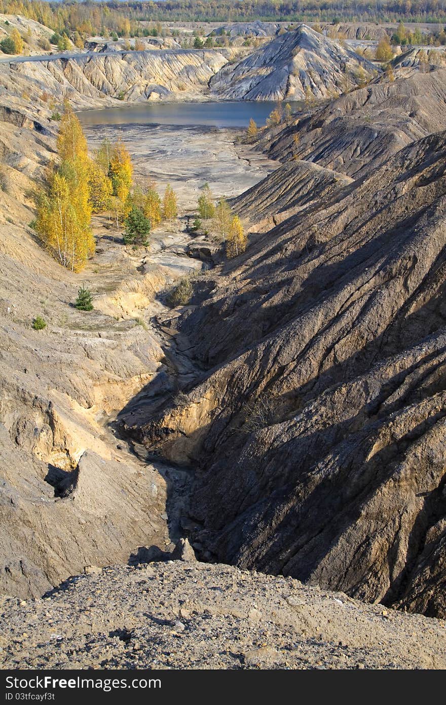 Sand canyon with yellow autumn birches