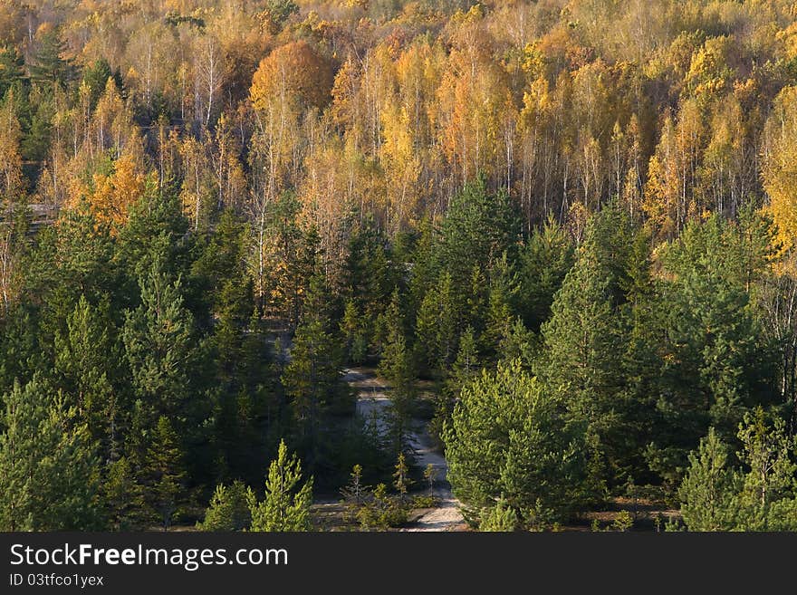 Autumn landscape, view from upper  point