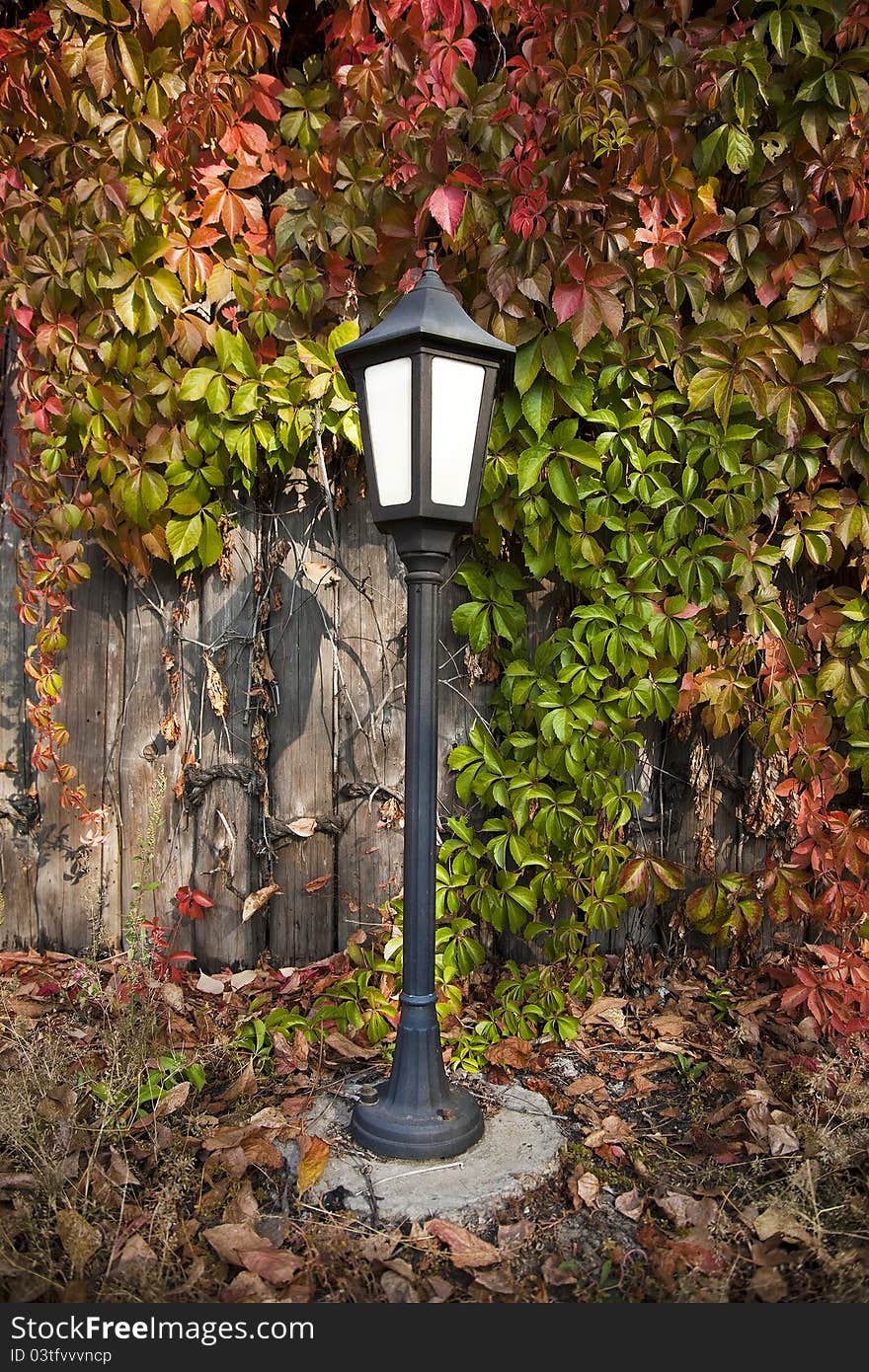 Street Lantern On Autumn Foliage