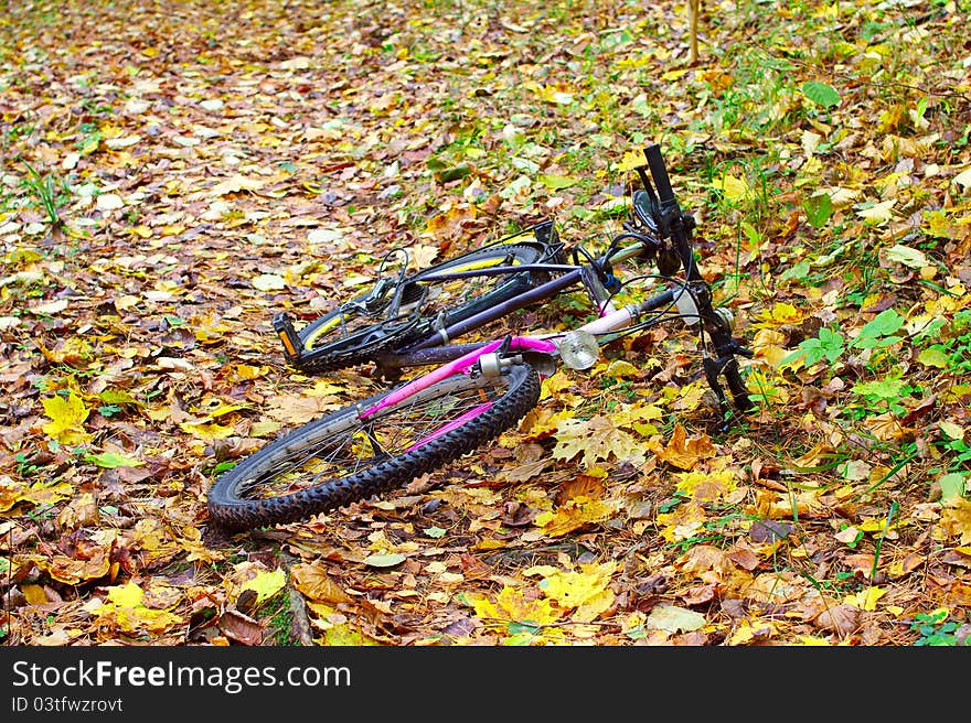 Bike in autumn leaves background alone