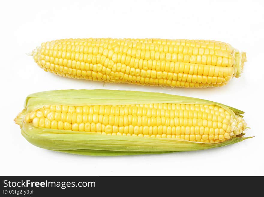 Fresh Corn Vegetable