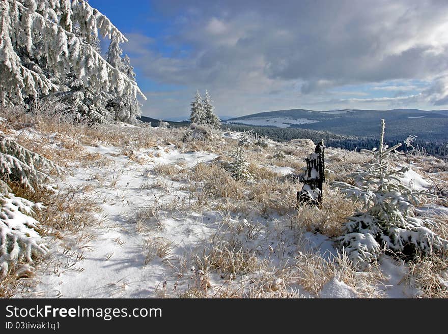 Winter landscape