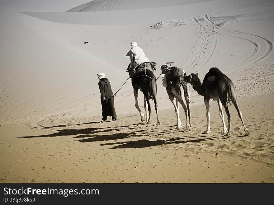 Camel ride in Sahara in Morocco