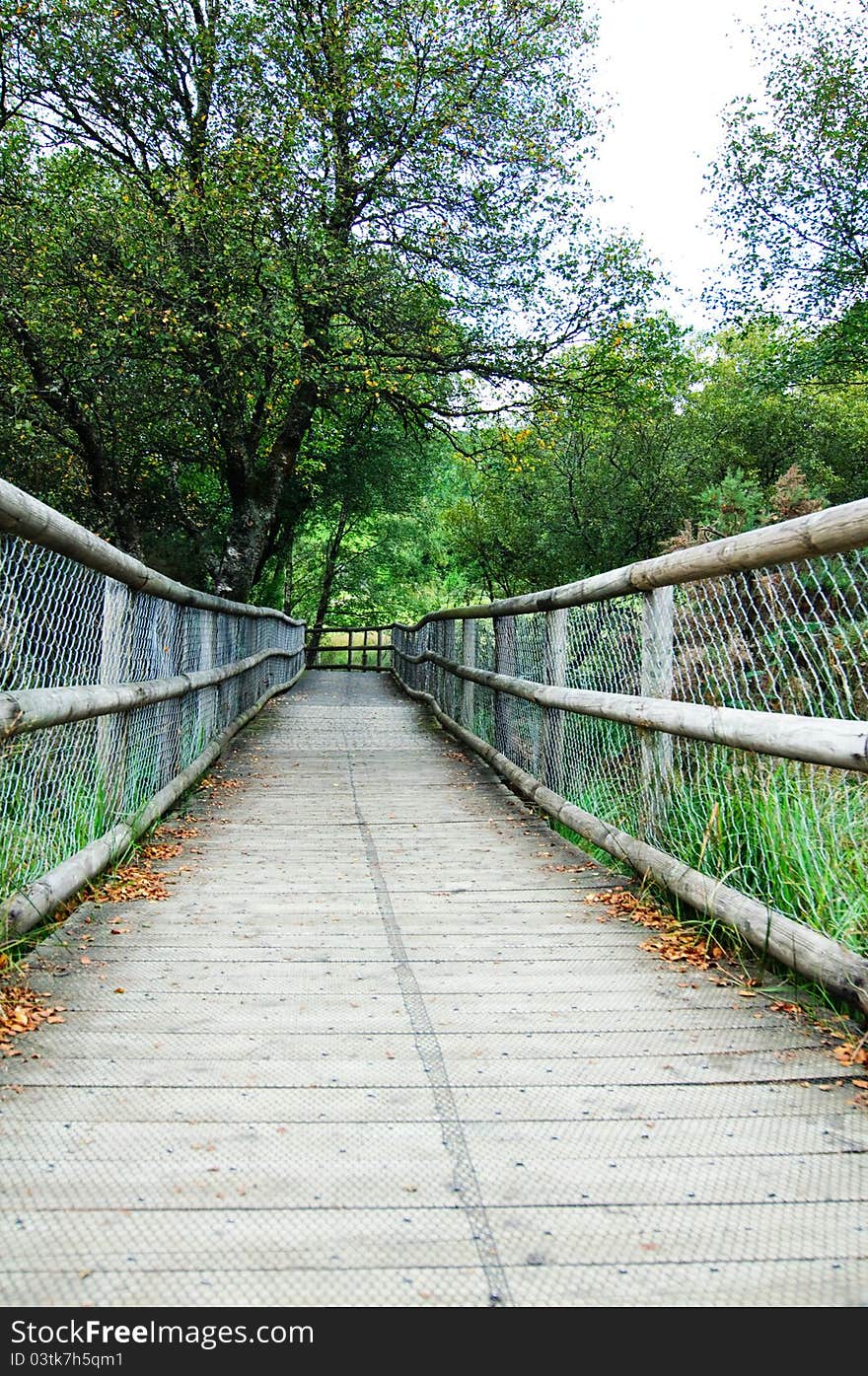 Wooden Bridge