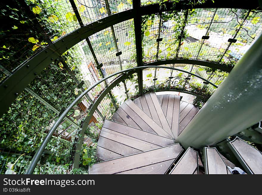 Helical staircase with the green plants outside.