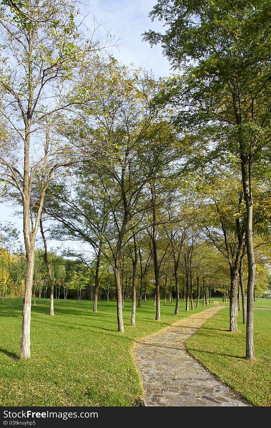 The park landscape in early autumn. The park landscape in early autumn