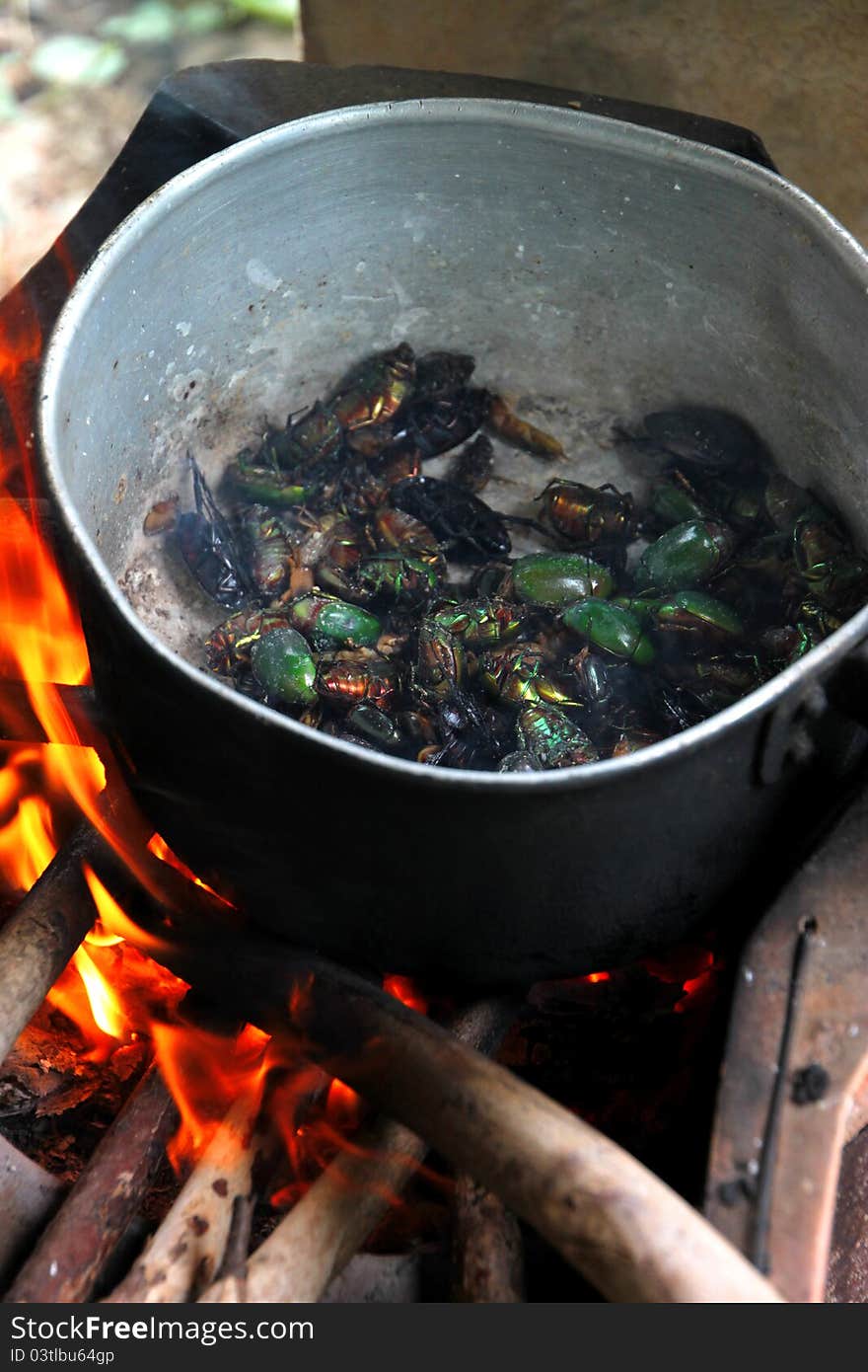 Roasted insects or bugs in pot over a traditional Thai stove