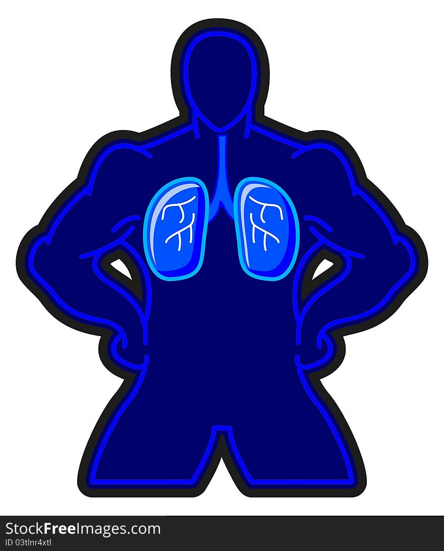 Illustration of healthy lung in human body show from x-ray