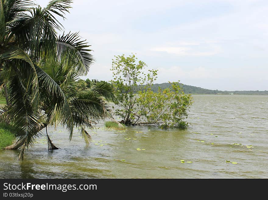 Vellayani lakes