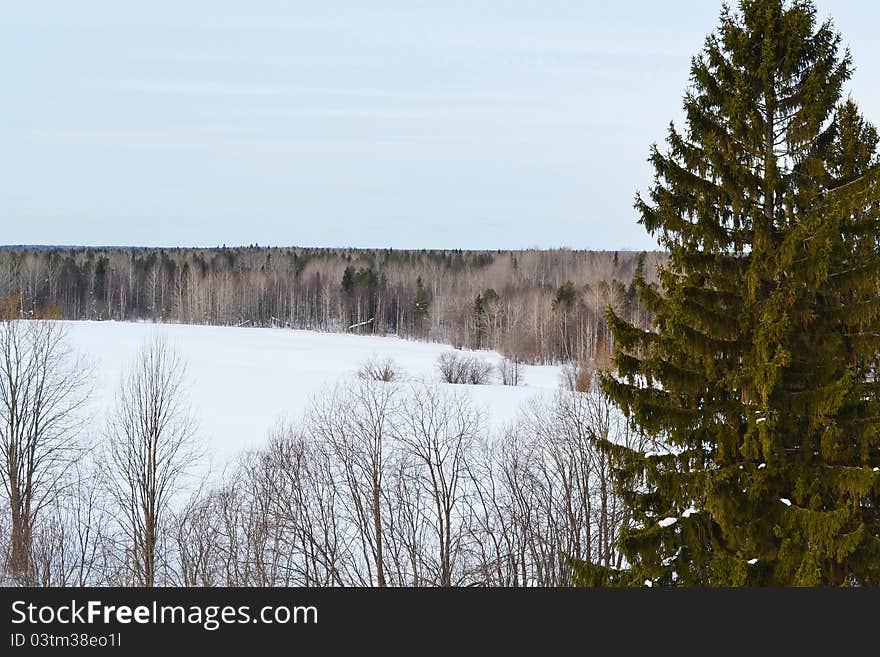 Winter Landscape