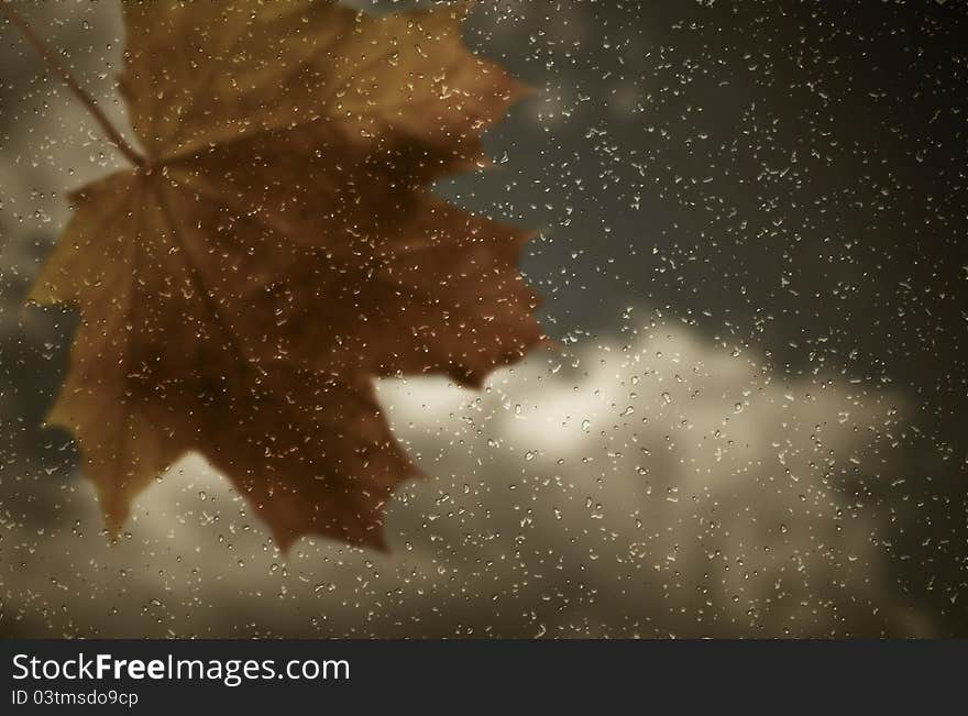 Maple leaf and raindrops on window. Autumn background. Maple leaf and raindrops on window. Autumn background.