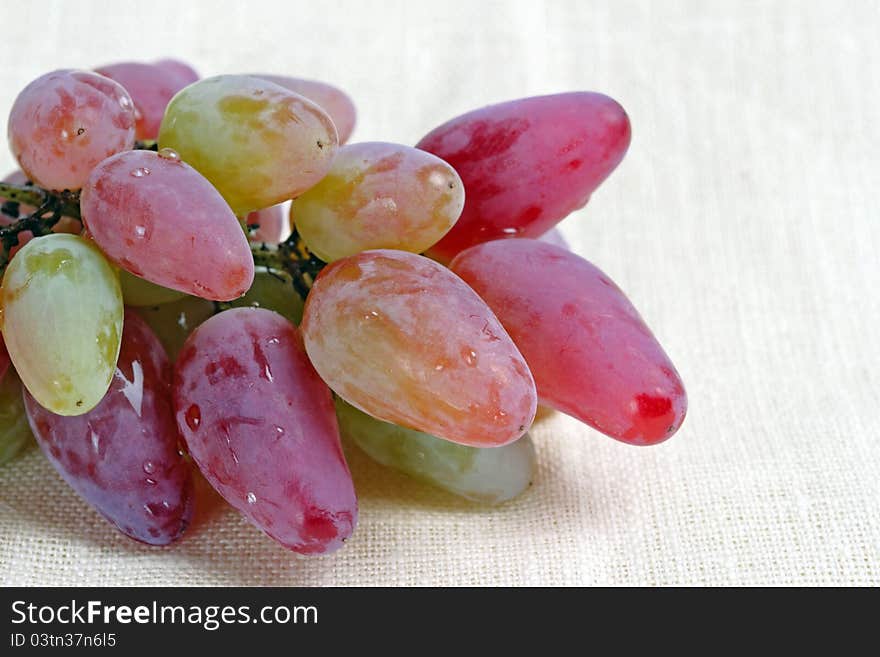 Ripe grape