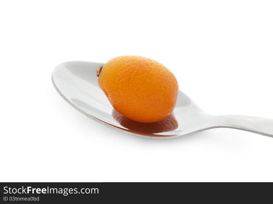 Kumquat On Steel Spoon