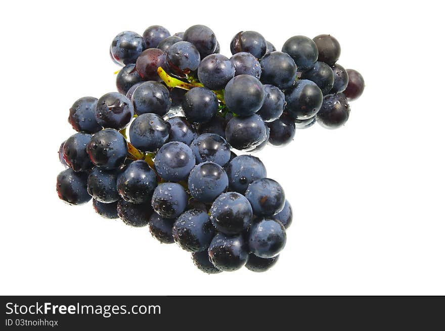 Blue grapes isolated on white background