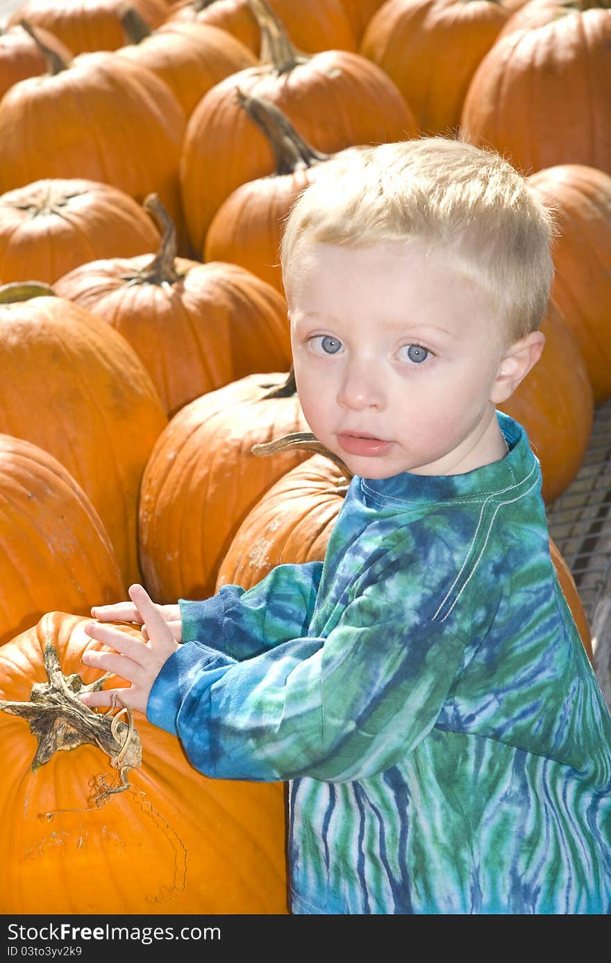 Little Boy with Pumpkins