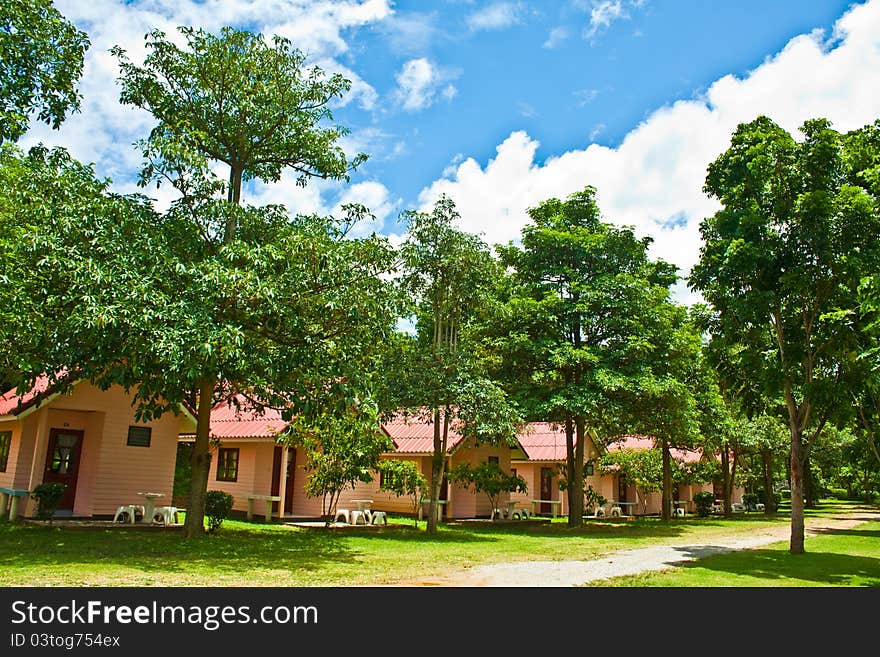 The resort in the trees