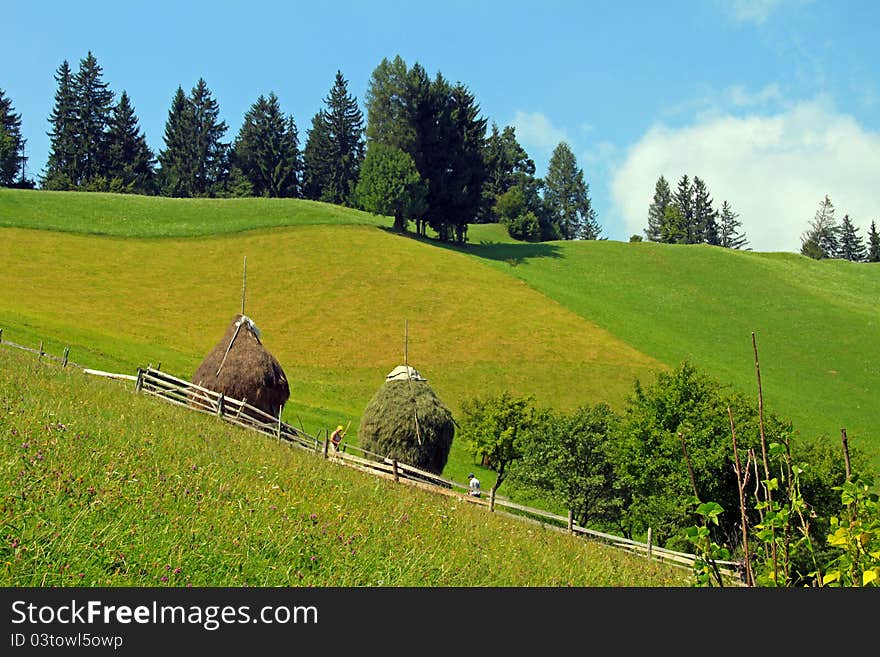 Slope on the meadow in Transylvania