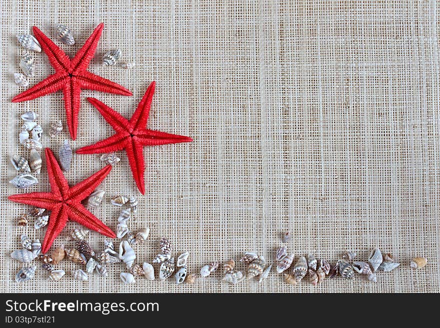 Starfish and shells forming a border on hessian