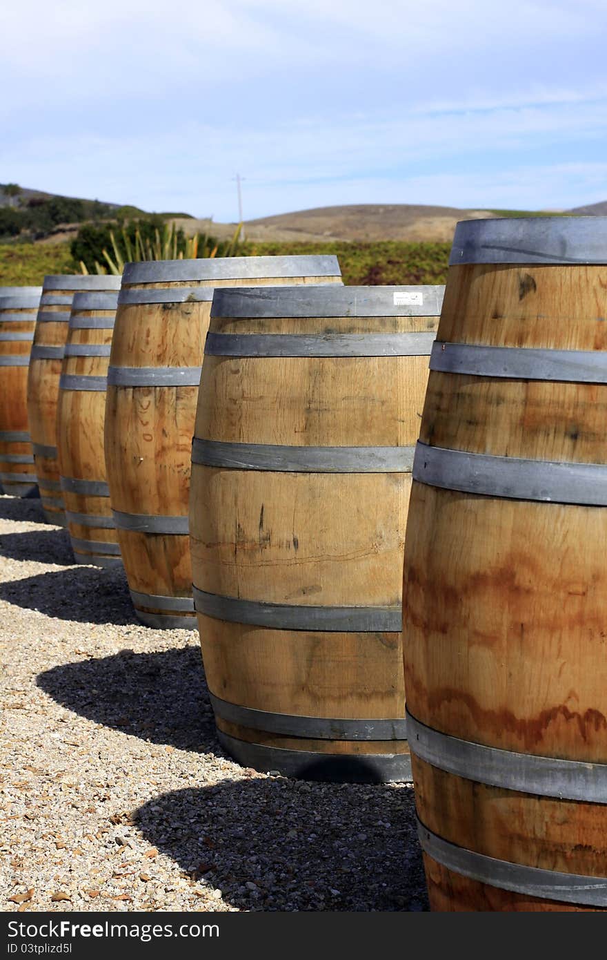 A row of wine barrels, focus on middle barrel, mountains and blue sky in background.