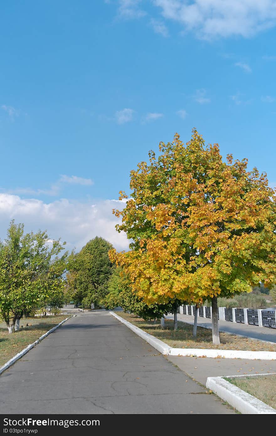 Photo of the road at noon