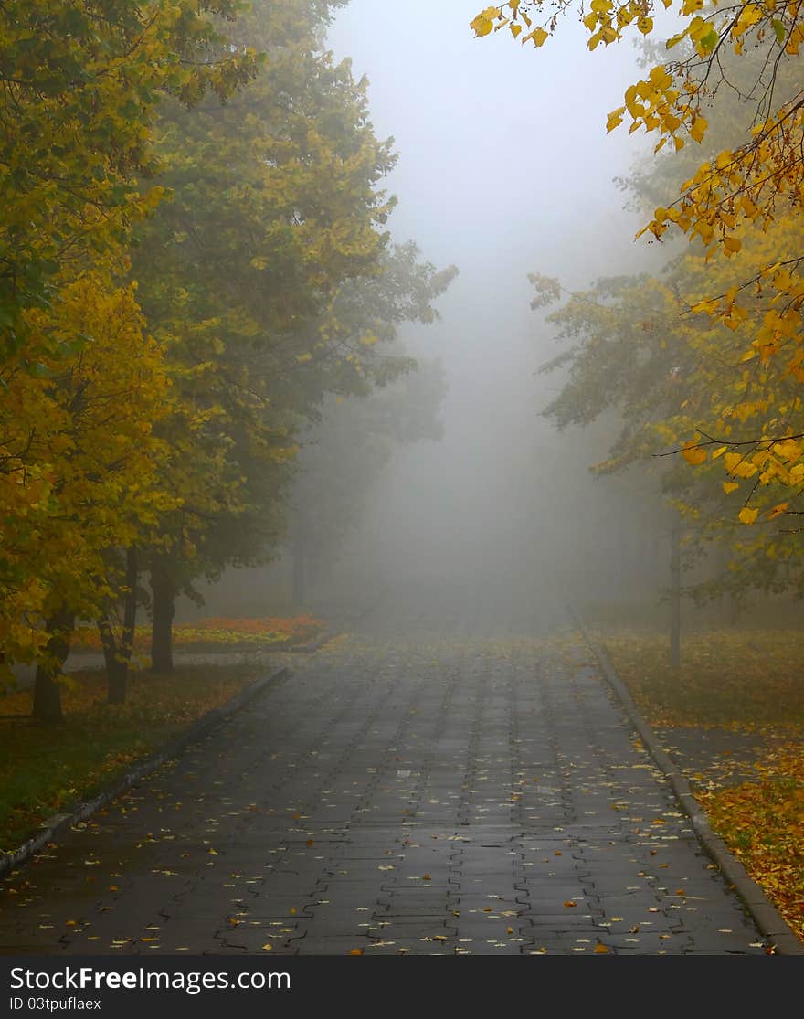 Fog in autumn park