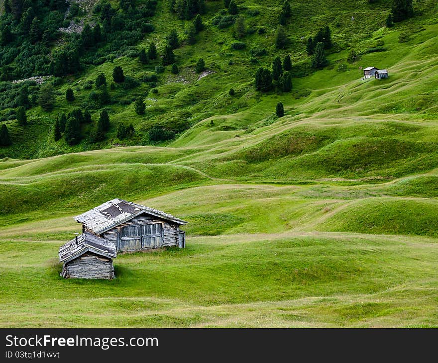 Green grass and mountain huts in Trentino, Italy