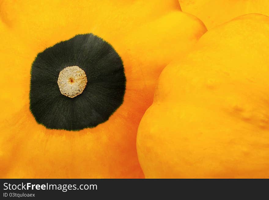 This freshly picked squash had a unique circular pattern -- like the center of a flower almost. It is pictured here with other squash sitting close beside it. This freshly picked squash had a unique circular pattern -- like the center of a flower almost. It is pictured here with other squash sitting close beside it.