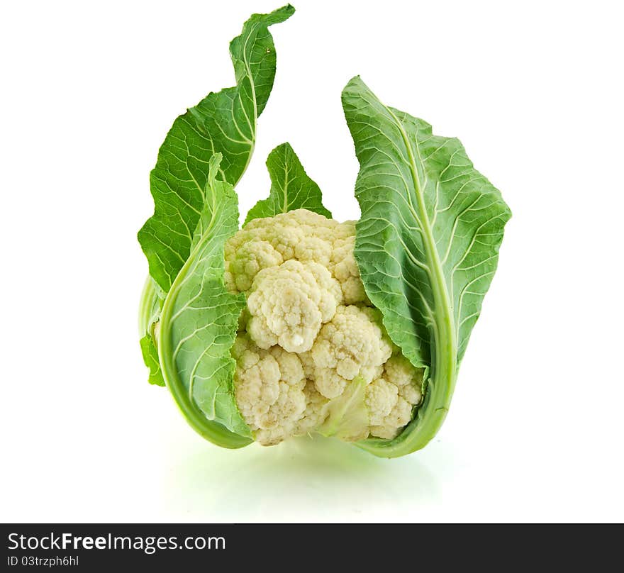 Isolated fresh Cauliflower on a white background