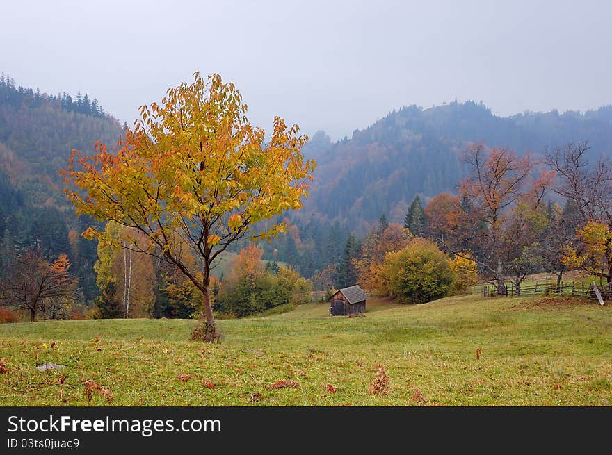 Autumn landscape in mountains. Ukraine, Carpathians