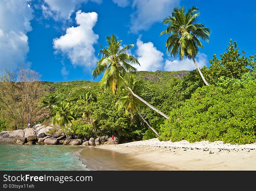 Idyllic tropical scenery - beautiful Seychelles. Idyllic tropical scenery - beautiful Seychelles