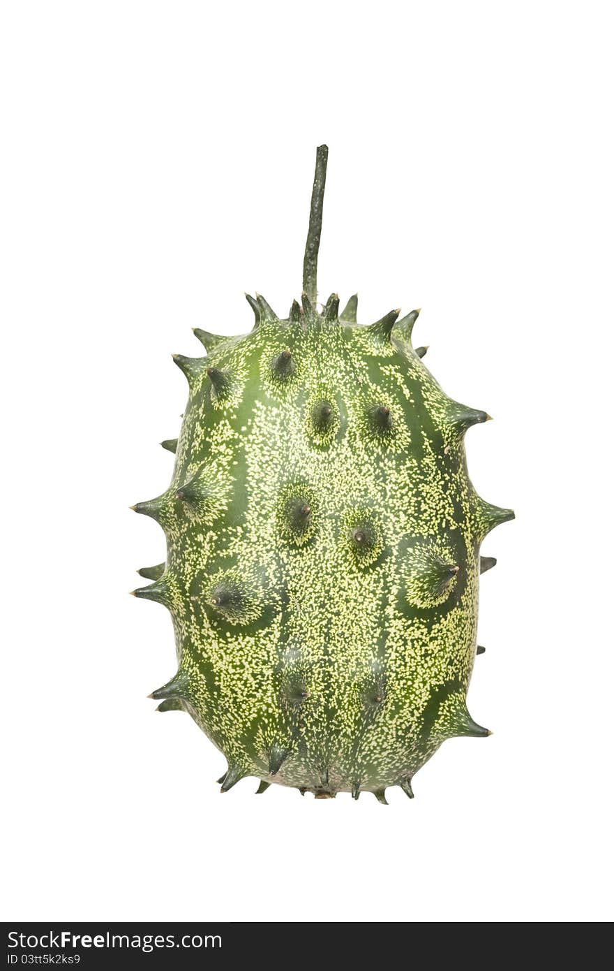 Green unripe fruit(Cucumis metulifer)on white. Green unripe fruit(Cucumis metulifer)on white