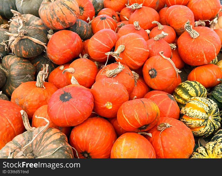 Close-up on pumpkins for sale