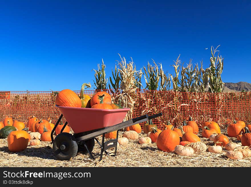 Many pumpkins on hay for sale. Many pumpkins on hay for sale