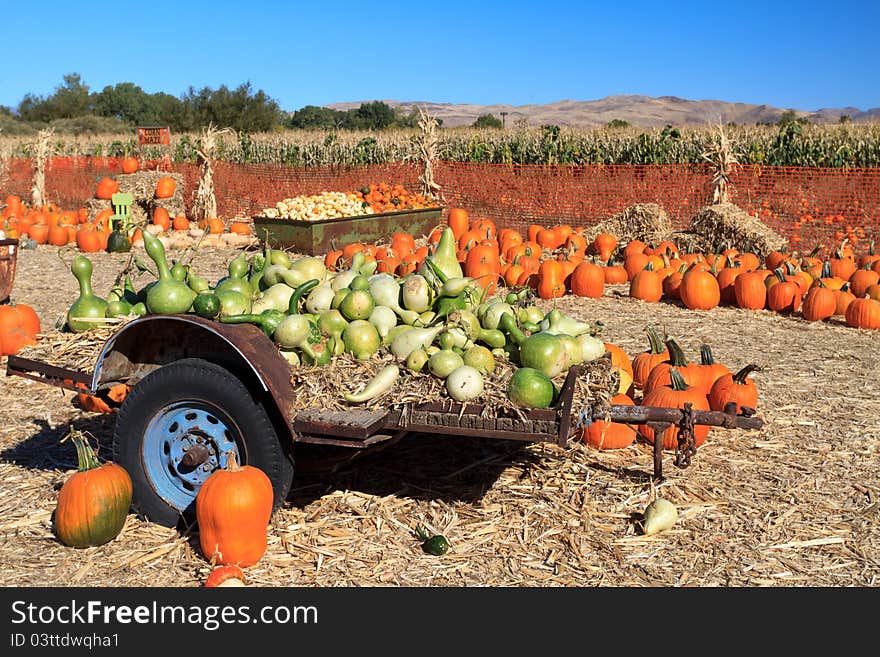 Pumpkin arrangement on hay for sale